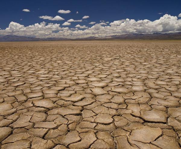 bigstockDrought4517411jpg.img_assist_custom-600x494