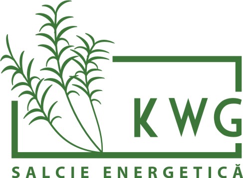 KWG – Salcie Energetică