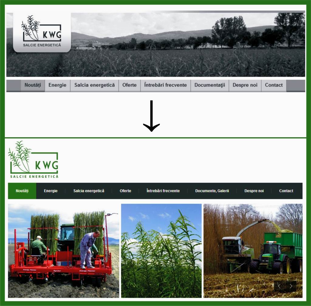 New web_1