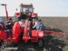 Plantare salcie energetica 1 Plantare salcie energetica 1